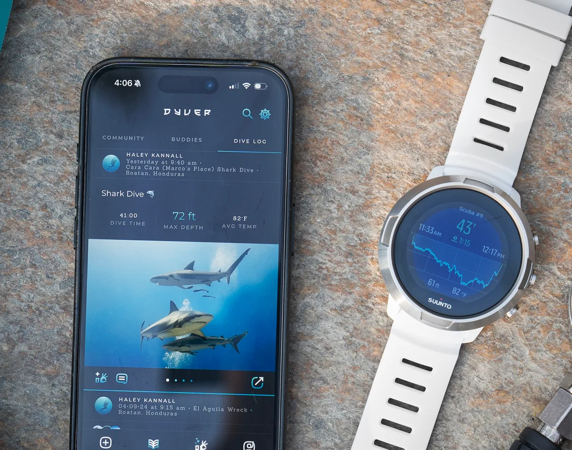 The Dyver app open on a phone, showing a logged shark dive, next to a dive computer displaying a depth profile, on a rock beside a dive mask